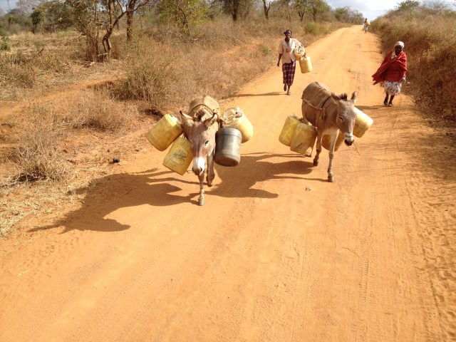 Women in the study communities often fetch and ferry water on donkeys